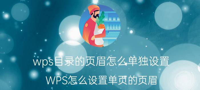 wps目录的页眉怎么单独设置 WPS怎么设置单页的页眉？